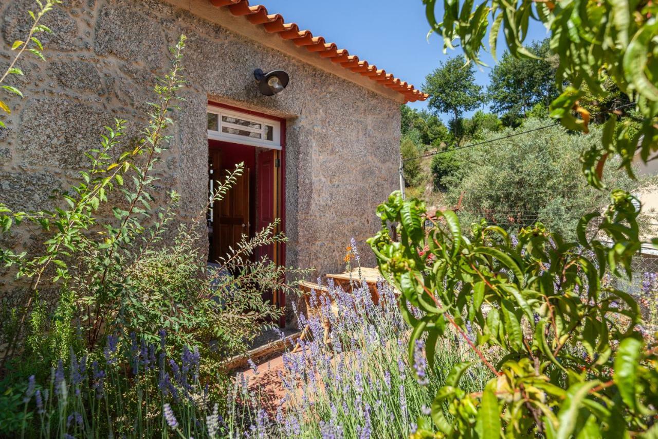 Casa Do Eido - Sustainable Living & Nature Experiences Valdosende Exterior photo